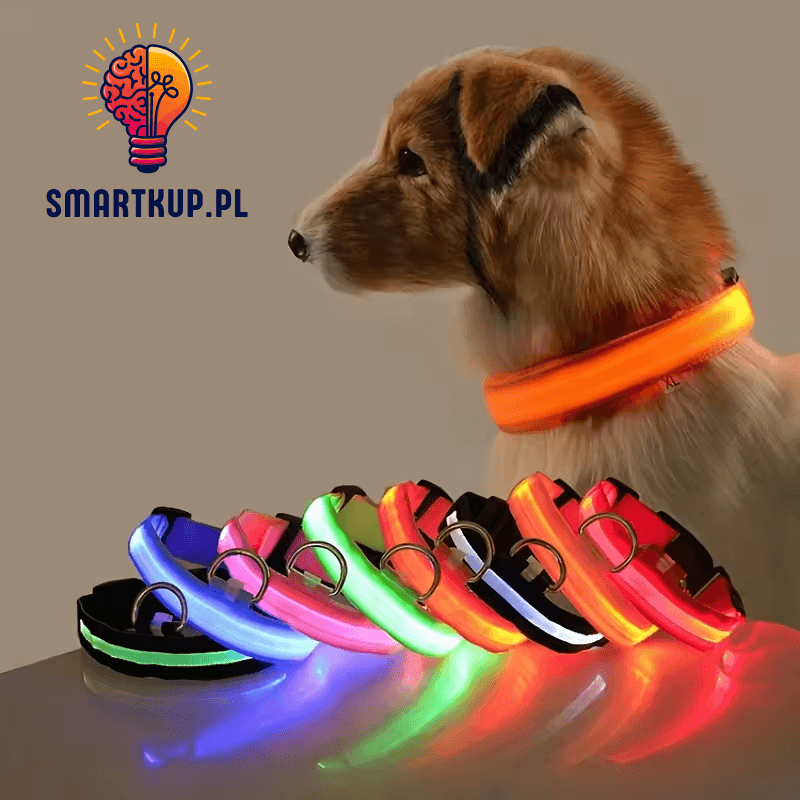 Obroża LED – widoczność i ochrona